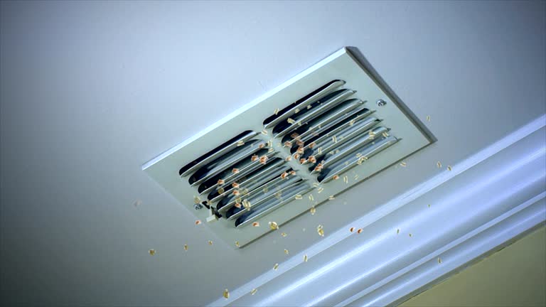 Best Professional Duct Cleaning Services  in Wrangell, AK