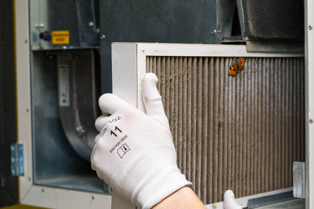 Best Air Duct Mold Removal  in Wrangell, AK