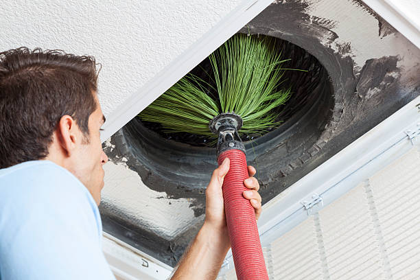 Best Ductwork Cleaning Services  in Wrangell, AK