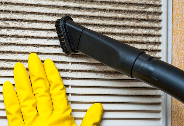 Best Home Air Vent Cleaning  in Wrangell, AK